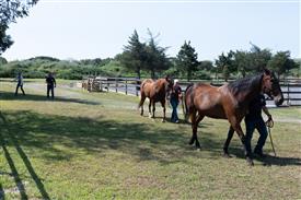 LR-WRF 08022025-Retreat-3012